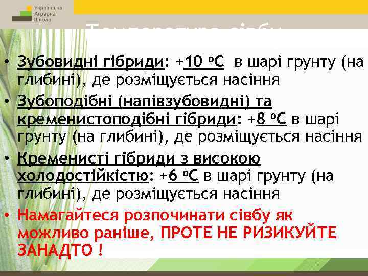 Температура сівби • Зубовидні гібриди: +10 o. C в шарі грунту (на глибині), де