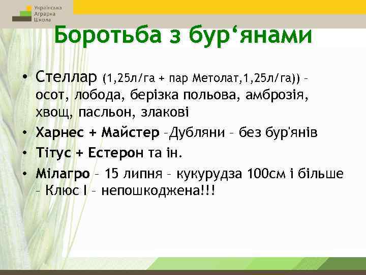 Боротьба з бур‘янами • Стеллар (1, 25 л/га + пар Метолат, 1, 25 л/га))