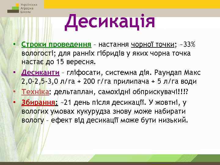 Десикація • Строки проведення – настання чорної точки; ~33% вологості; для ранніх гібридів у