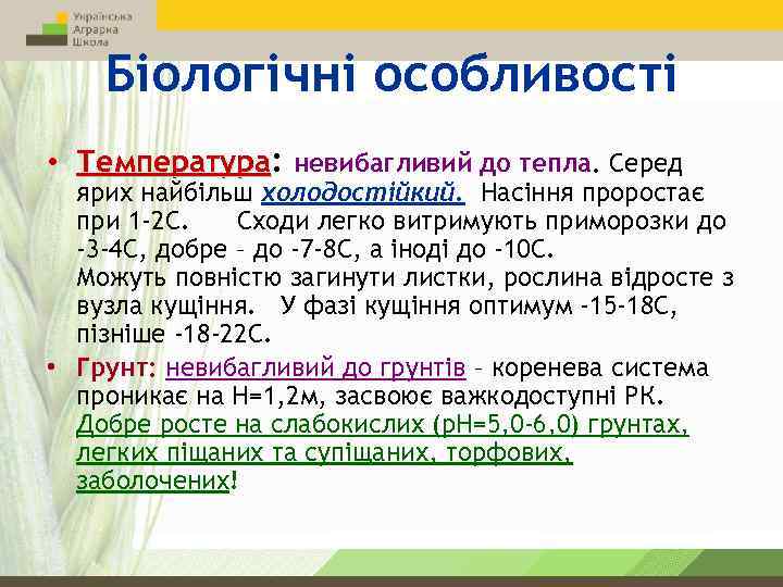 Біологічні особливості • Температура: невибагливий до тепла. Серед ярих найбільш холодостійкий. Насіння проростає при
