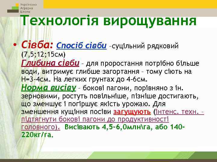 Технологія вирощування • Сівба: Спосіб сівби –суцільний рядковий (7, 5; 12; 15 см) Глибина