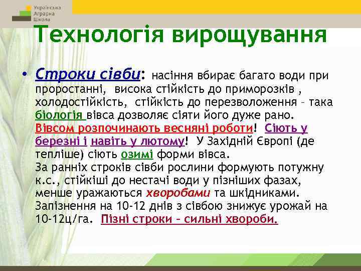 Технологія вирощування • Строки сівби: насіння вбирає багато води проростанні, висока стійкість до приморозків