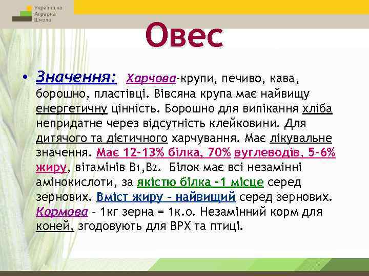 Овес • Значення: Харчова-крупи, печиво, кава, борошно, пластівці. Вівсяна крупа має найвищу енергетичну цінність.