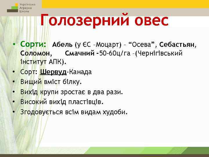 Голозерний овес • Сорти: Абель (у ЄС –Моцарт) – “Осева”, Себастьян, • • •