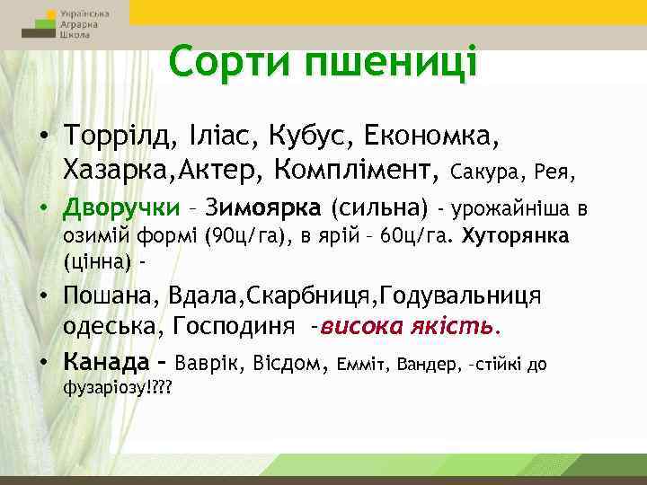 Сорти пшениці • Торрілд, Іліас, Кубус, Економка, Хазарка, Актер, Комплімент, Сакура, Рея, • Дворучки
