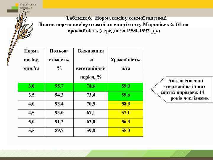 Таблиця 6. Норма висіву озимої пшениці Вплив норми висіву озимої пшениці сорту Миронівська 61