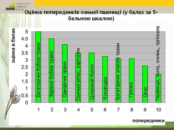 Пшениця, жито, ячмінь, трітікале Овес Гречка Багаторічні злакові трави Кукурудза Цукровий буряк Озимий ріпак,
