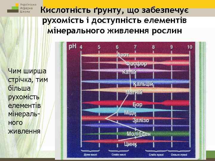 Кислотність ґрунту, що забезпечує рухомість і доступність елементів мінерального живлення рослин Чим ширша стрічка,