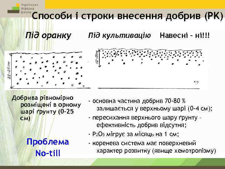 Способи і строки внесення добрив (PK) Під оранку Добрива рівномірно розміщені в орному шарі
