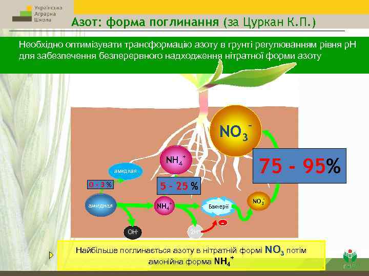Азот: форма поглинання (за Цуркан К. П. ) Необхідно оптимізувати трансформацію азоту в грунті