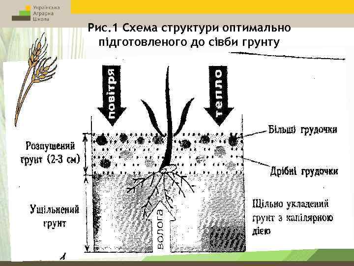 Рис. 1 Схема структури оптимально підготовленого до сівби грунту 