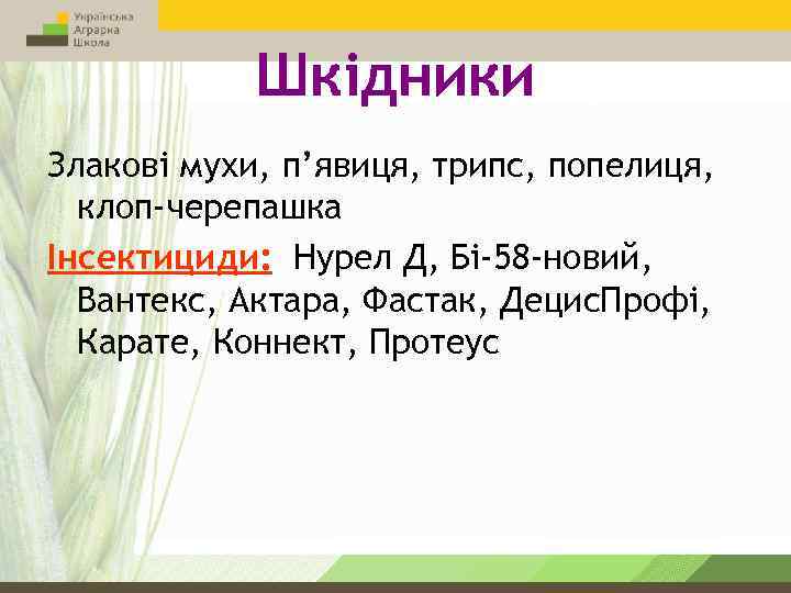 Шкідники Злакові мухи, п’явиця, трипс, попелиця, клоп-черепашка Інсектициди: Нурел Д, Бі-58 -новий, Вантекс, Актара,