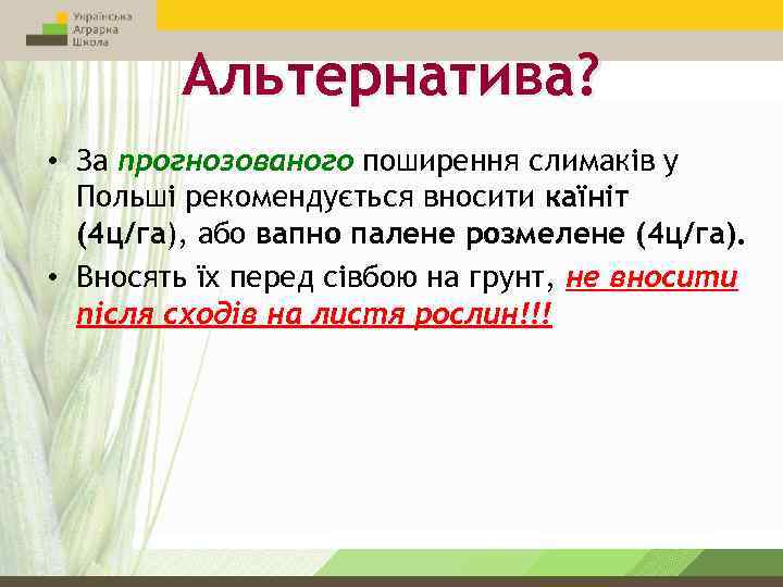 Альтернатива? • За прогнозованого поширення слимаків у Польші рекомендується вносити каїніт (4 ц/га), або