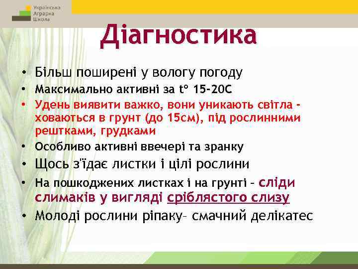 Діагностика • Більш поширені у вологу погоду • Максимально активні за tº 15 -20