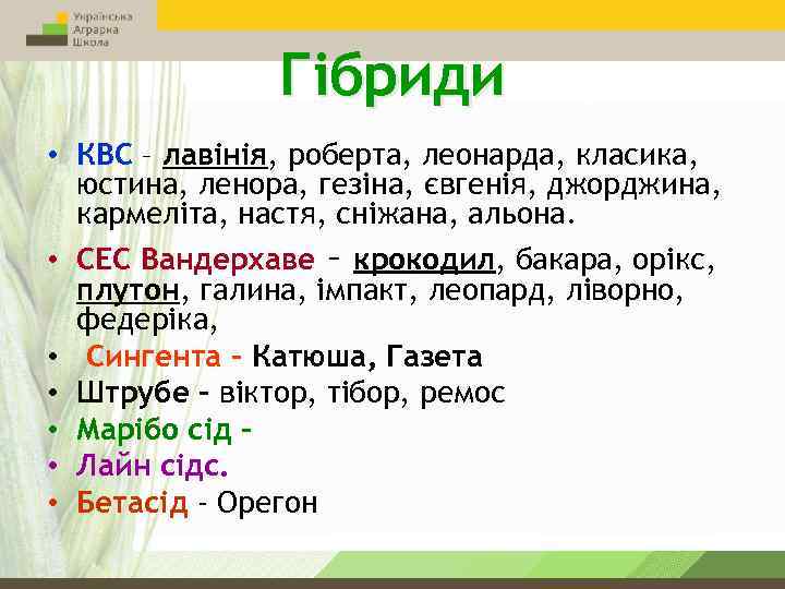 Гібриди • КВС – лавінія, роберта, леонарда, класика, юстина, ленора, гезіна, євгенія, джорджина, кармеліта,