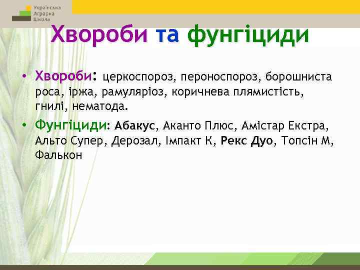 Хвороби та фунгіциди • Хвороби: церкоспороз, пероноспороз, борошниста роса, іржа, рамуляріоз, коричнева плямистість, гнилі,