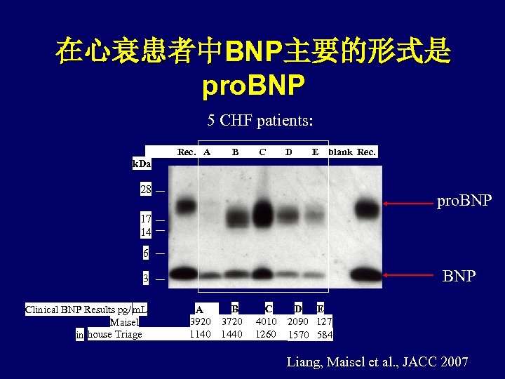 在心衰患者中BNP主要的形式是 pro. BNP 5 CHF patients: Rec. A B C D E blank Rec.