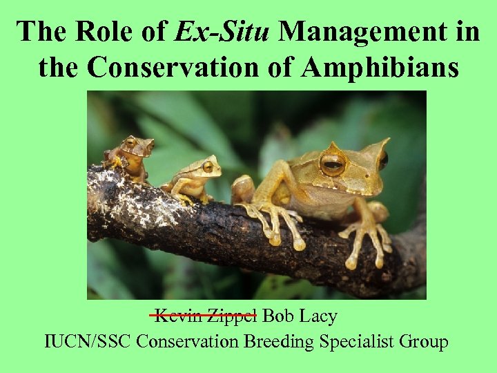 The Role of Ex-Situ Management in the Conservation of Amphibians Kevin Zippel Bob Lacy