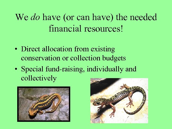 We do have (or can have) the needed financial resources! • Direct allocation from