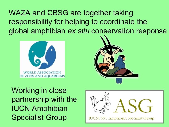 WAZA and CBSG are together taking responsibility for helping to coordinate the global amphibian