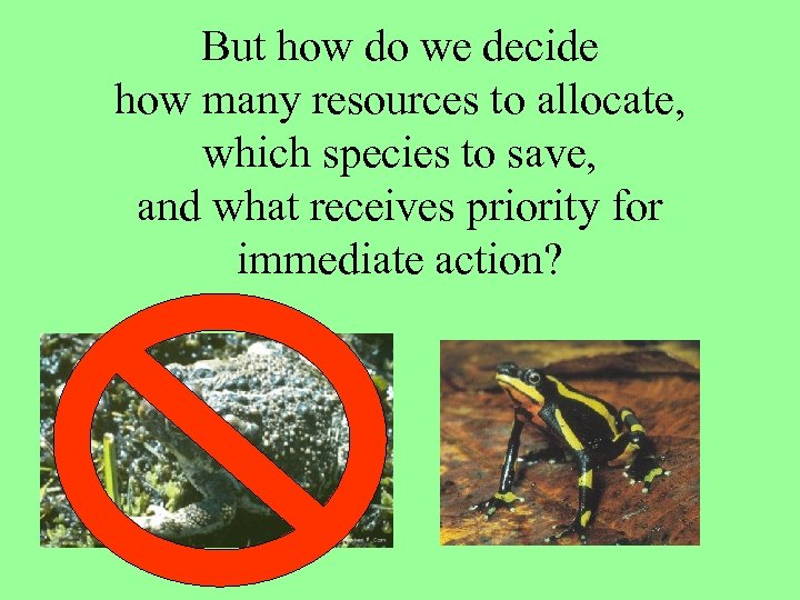 But how do we decide how many resources to allocate, which species to save,