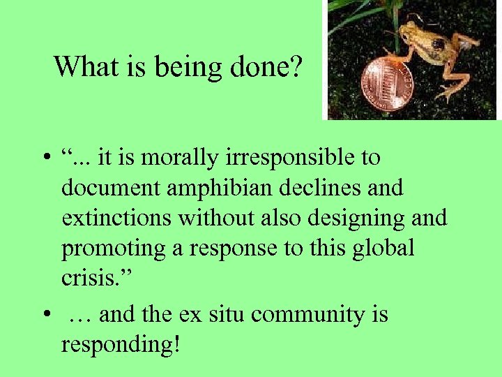 What is being done? • “. . . it is morally irresponsible to document