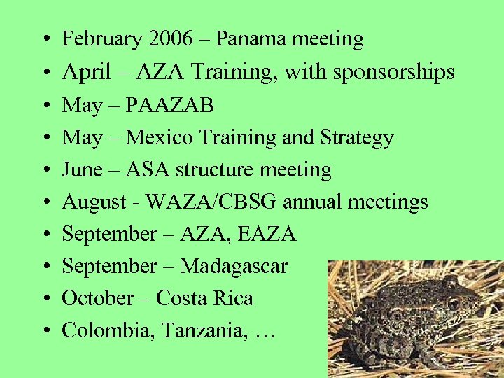  • February 2006 – Panama meeting • April – AZA Training, with sponsorships