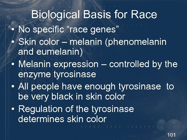 Biological Basis for Race • No specific “race genes” • Skin color – melanin