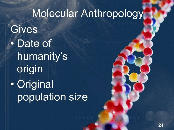 Molecular Anthropology Gives • Date of humanity’s origin • Original population size 24 