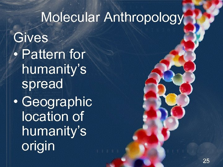 Molecular Anthropology Gives • Pattern for humanity’s spread • Geographic location of humanity’s origin