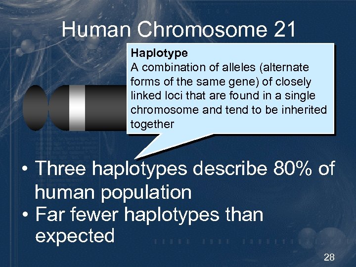Human Chromosome 21 Haplotype Diversity A combination of alleles (alternate forms of the same
