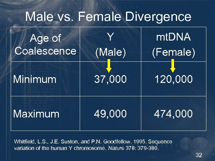 Male vs. Female Divergence Age of Coalescence Y (Male) mt. DNA (Female) Minimum 37,