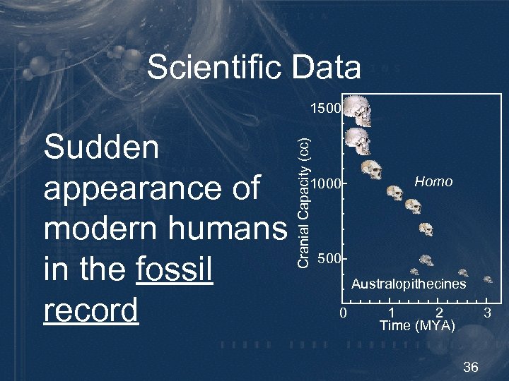 Scientific Data 1500 Cranial Capacity (cc) Sudden appearance of modern humans in the fossil