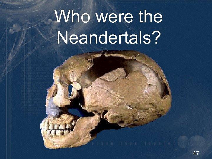 Who were the Neandertals? 47 