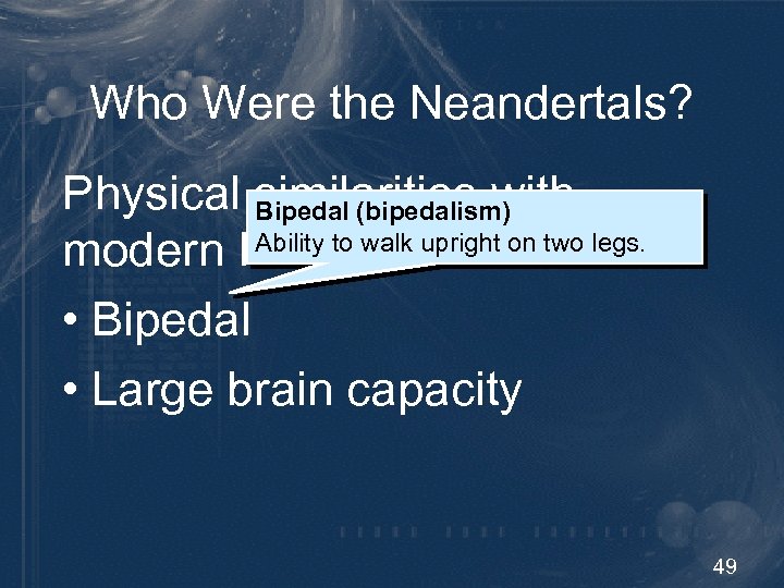 Who Were the Neandertals? Physical similarities with Bipedal (bipedalism) Ability to walk upright on