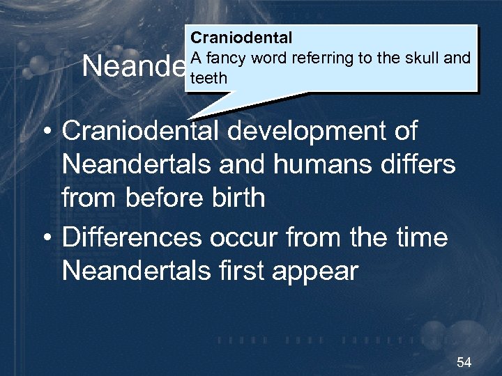 Craniodental A fancy word referring to the skull and teeth Neandertal Development • Craniodental