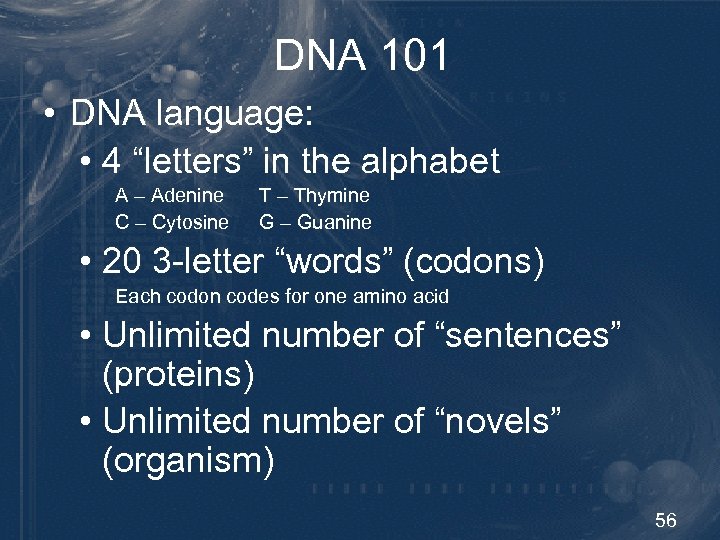 DNA 101 • DNA language: • 4 “letters” in the alphabet A – Adenine