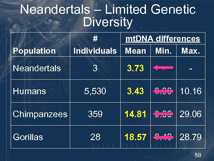 Neandertals – Limited Genetic Diversity Population Neandertals Humans mt. DNA differences # Individuals Mean