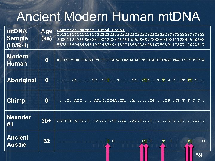Ancient Modern Human mt. DNA Age (ka) Sequence Number (Read Down) 0011111111222222222222223333333 79001122345668889001223344444555566677888899901112345556688 83781269984393499198340413479368923448467803911780715672817