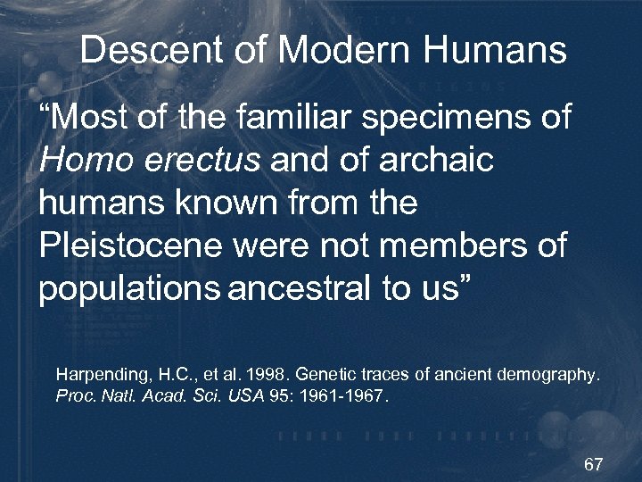 Descent of Modern Humans “Most of the familiar specimens of Homo erectus and of