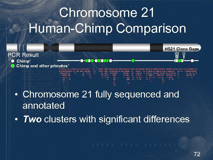 Chromosome 21 Human-Chimp Comparison HS 21 Clone Gaps PCR Result Chimp and other primates-