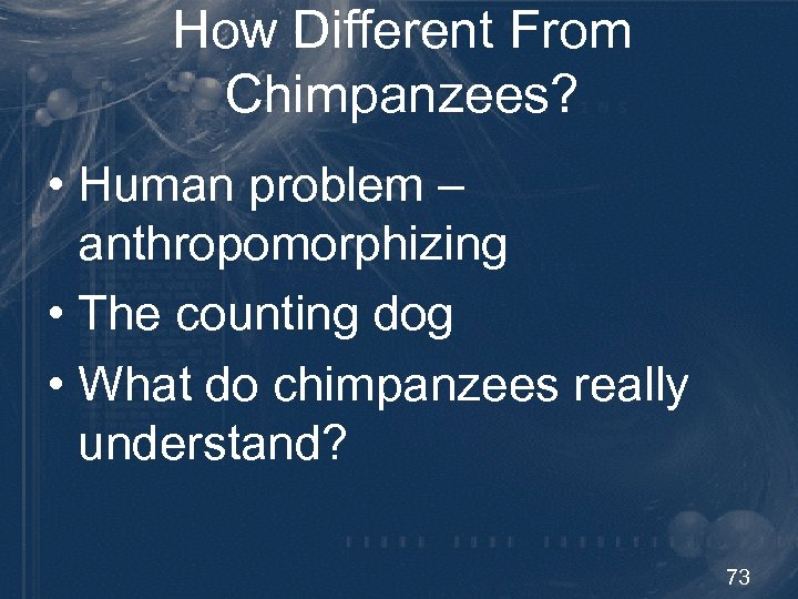 How Different From Chimpanzees? • Human problem – anthropomorphizing • The counting dog •