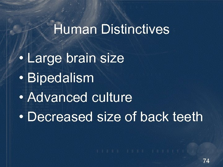 Human Distinctives • Large brain size • Bipedalism • Advanced culture • Decreased size