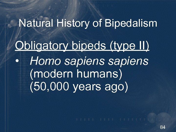 Natural History of Bipedalism Obligatory bipeds (type II) • Homo sapiens (modern humans) (50,
