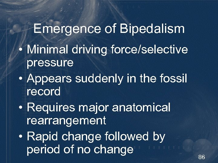 Emergence of Bipedalism • Minimal driving force/selective pressure • Appears suddenly in the fossil