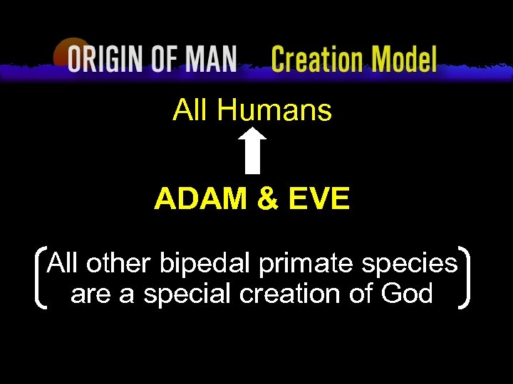 Origin of Man Creation Model All Humans ADAM & EVE All other bipedal primate