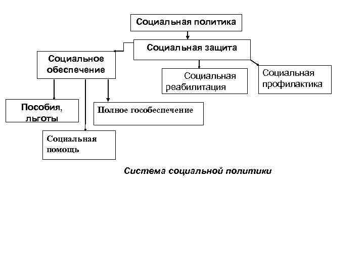 Социальная политика Социальная защита Социальное обеспечение Пособия, льготы Социальная реабилитация Социальная профилактика Полное гособеспечение