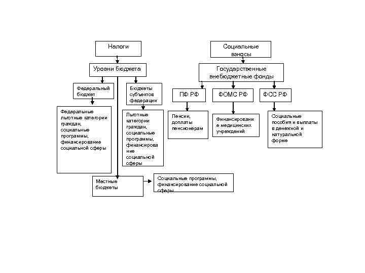 Налоги Социальные взносы Уровни бюджета Государственные внебюджетные фонды Федеральный бюджет Федеральные льготные категории граждан,