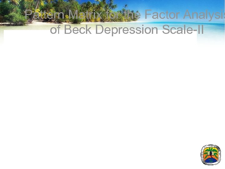 Pattern Matrix for the Factor Analysis of Beck Depression Scale-II 
