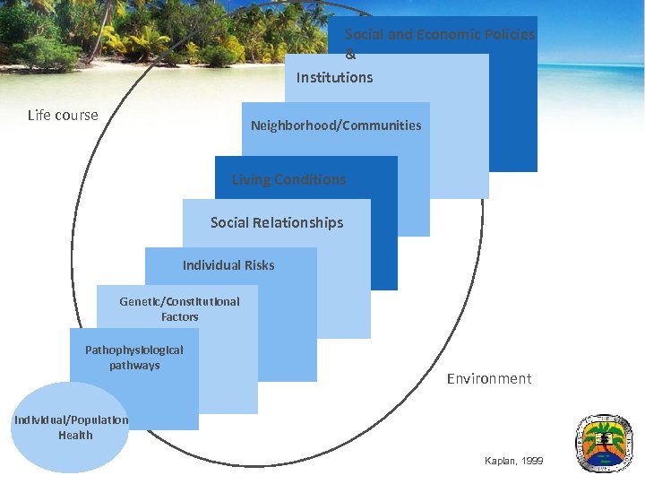 Social and Economic Policies & Institutions Life course Neighborhood/Communities Living Conditions Social Relationships Individual